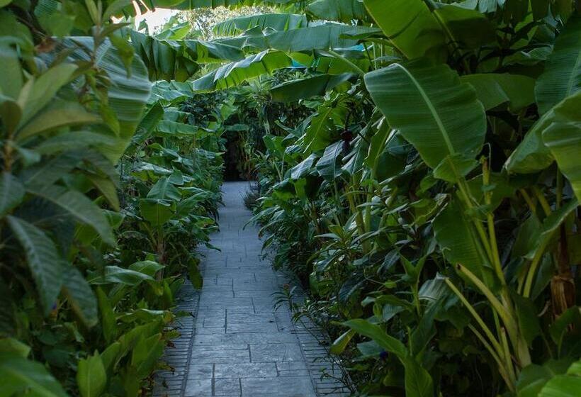 호텔 Irene Palace Beach Resort