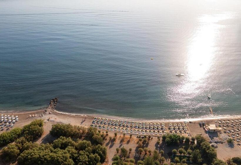 ホテル Irene Palace Beach Resort