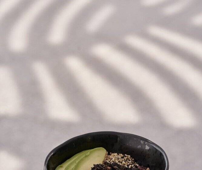 Kouros Hotel & Suites