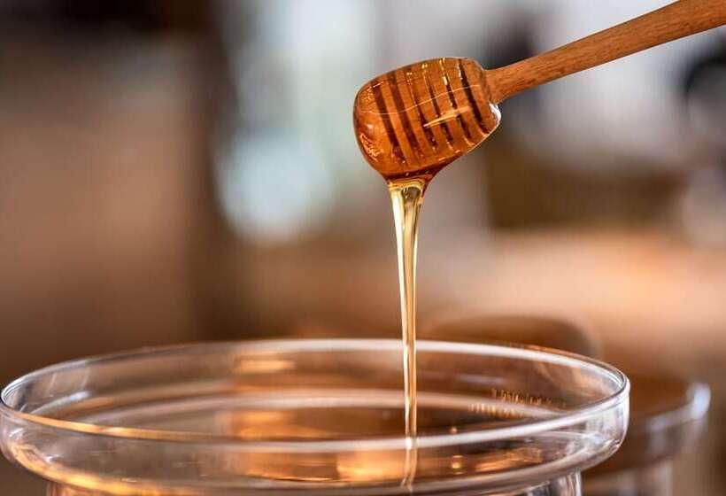 호텔 Nissaki Boutique