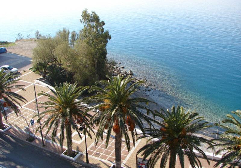 Отель Petit Palais