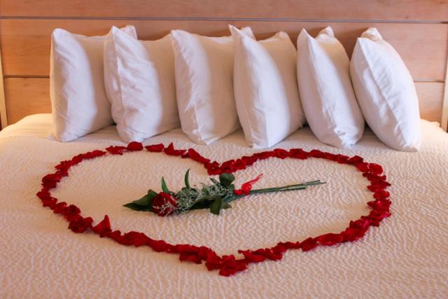 ホテル Philoxenia