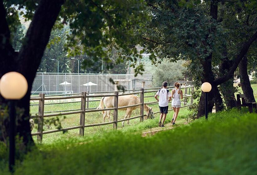 호텔 Pilot Beach Resort