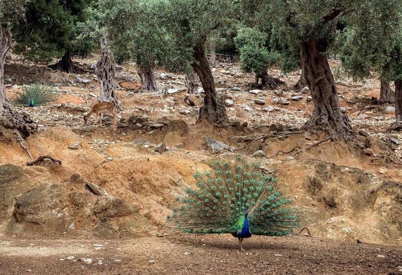 Makryammos Bungalows