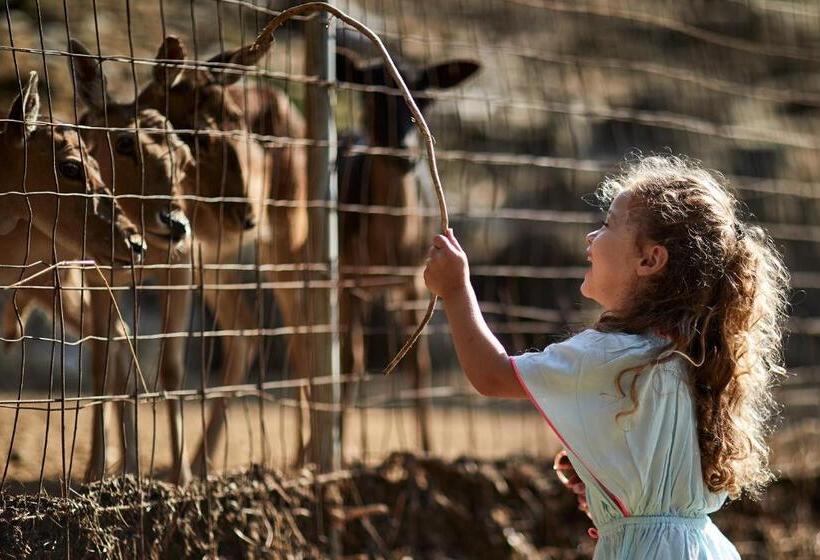 Makryammos Bungalows