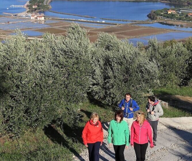 Laguna Deluxe  Terme Krka