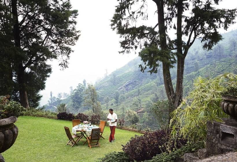 ベッドアンドブレックファースト Jetwing Warwick Gardens