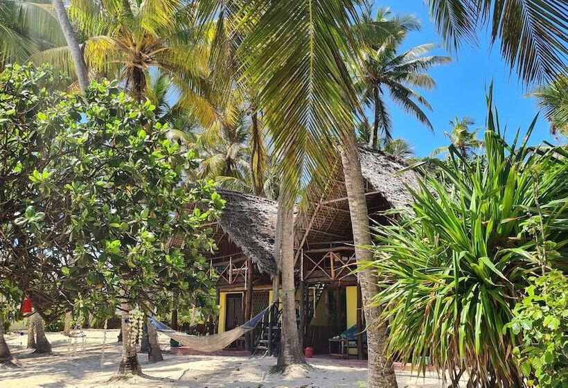 مبيت وإفطار Evergreen Bungalows