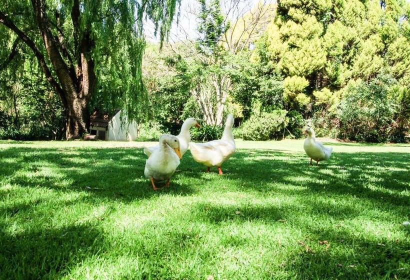 ホテル Budmarsh Country Lodge