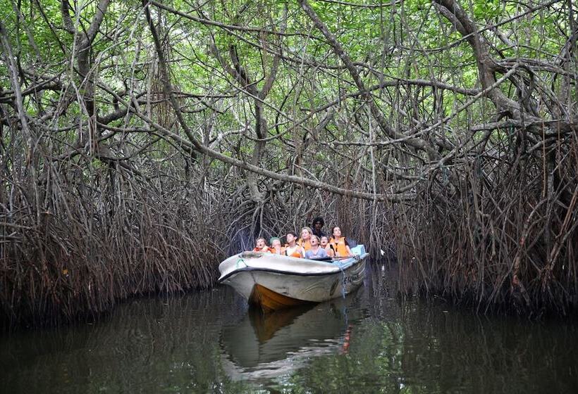 호텔 Calamansi Cove Villas