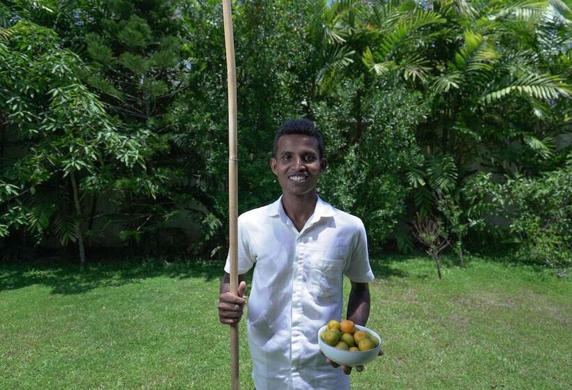 호텔 Calamansi Cove Villas