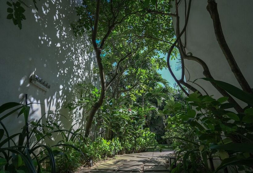 호텔 Calamansi Cove Villas