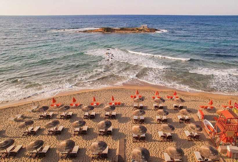 ホテル High Beach White  Adults Only