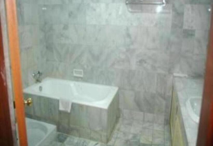 ホテル Banjarmasin International