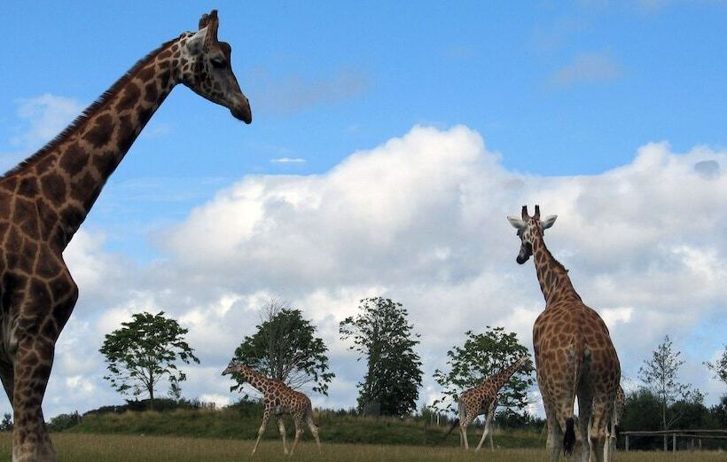 בית מלון כפרי Bayview