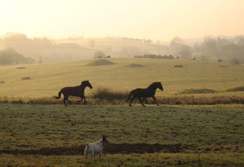 فندق Castle Leslie Estate