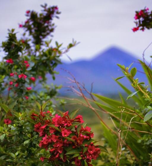 בית מלון כפרי Clew Bay