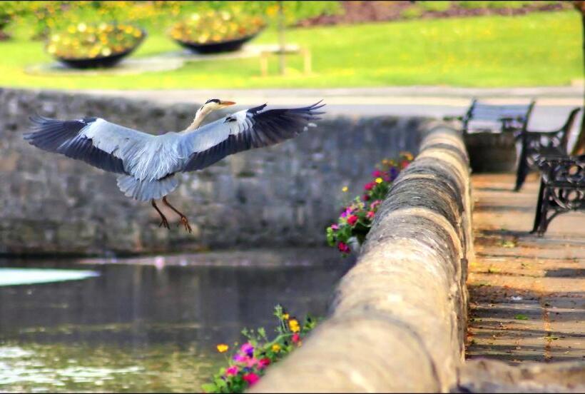 בית מלון כפרי Clew Bay