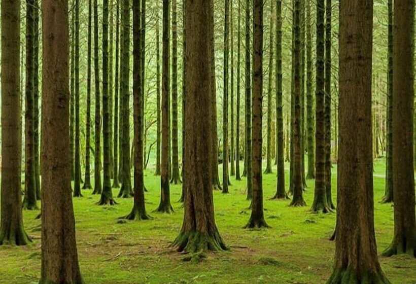 Отель Gougane Barra