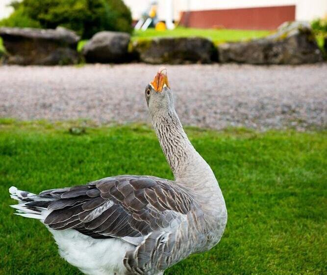 هتل Harvey's Point