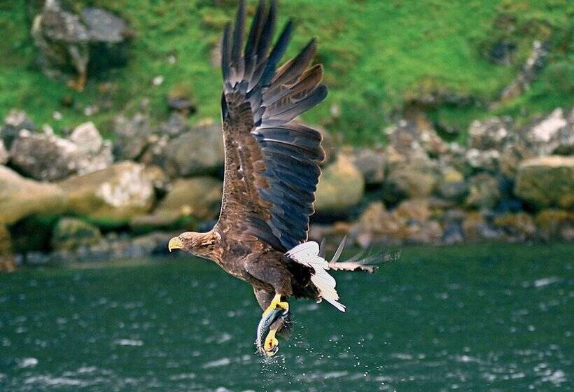 Killarney Towers Hotel & Leisure Centre