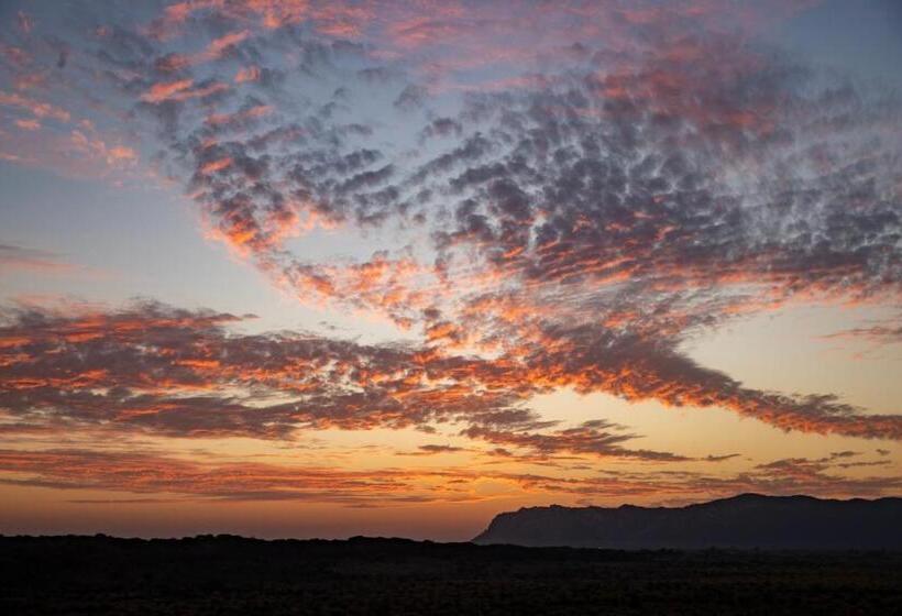 Hotel Ramgarh Lodge, Jaipur – Ihcl Seleqtions