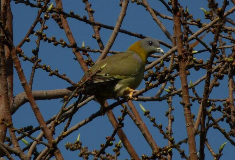 Hotel Ramgarh Lodge, Jaipur – Ihcl Seleqtions