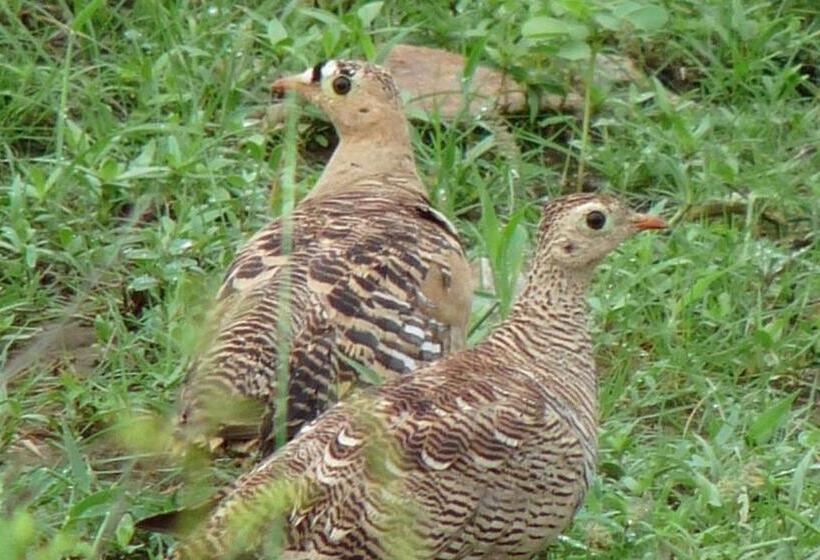 Hotel Ramgarh Lodge, Jaipur – Ihcl Seleqtions