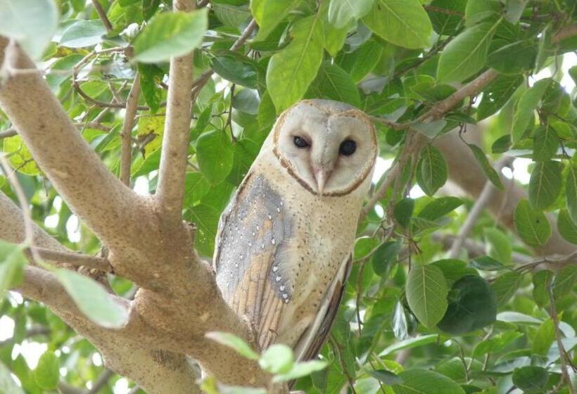 Hotel Ramgarh Lodge, Jaipur – Ihcl Seleqtions