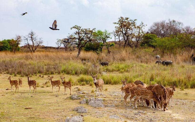 Shikarbadi Hotel   By The Lake Heritage By Hrh Group Of Hotels
