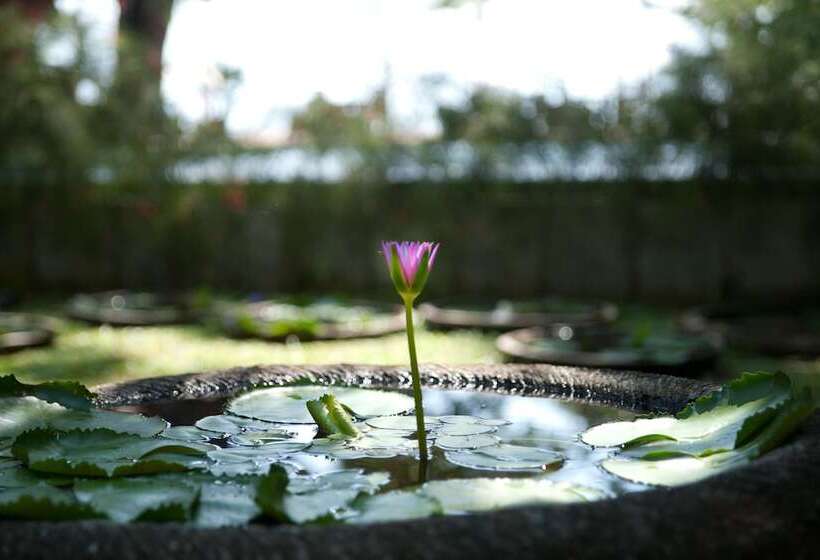בית מלון כפרי Tandjung Sari
