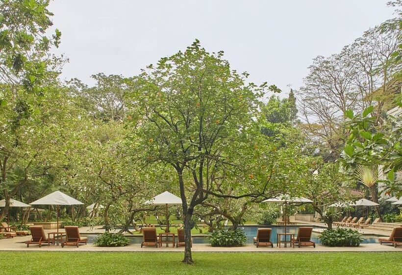 Отель The Dharmawangsa Jakarta