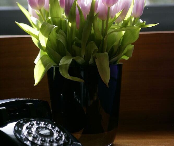 هتل The Fitzwilliam