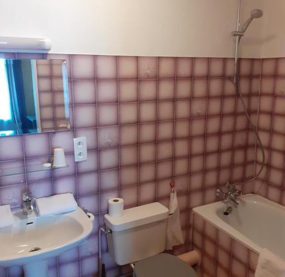 בית מלון כפרי Hôtel De France