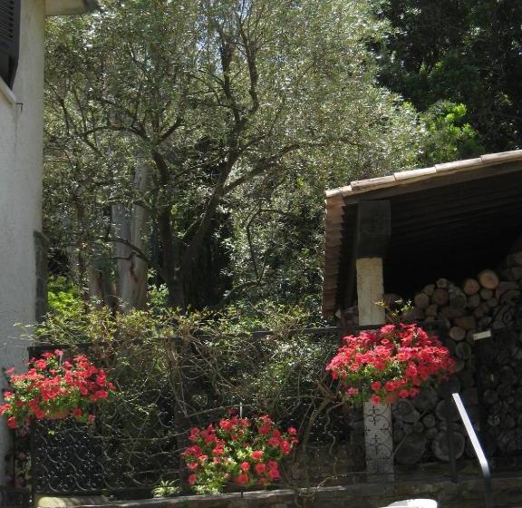 Отель Hôtel Cap Soleil