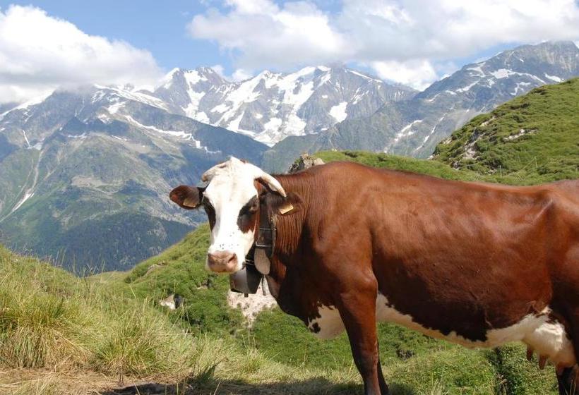 فندق Hôtel Chalet Le Caribou