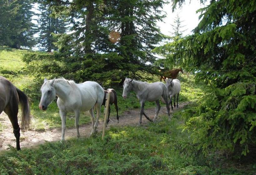 בית מלון כפרי Hôtel Chalet Le Caribou