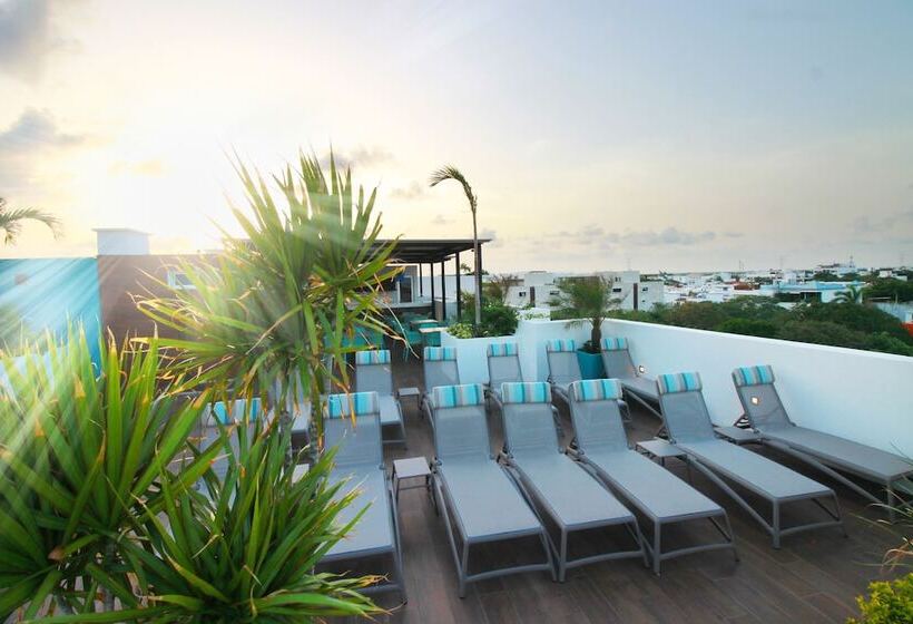 Отель The Gallery Apartments