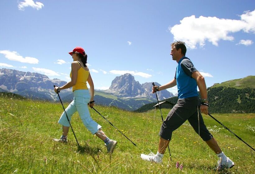 酒店 Adler Spa Resort Dolomiti