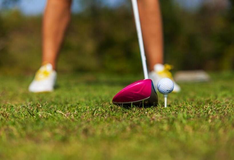 בית מלון כפרי Alexander