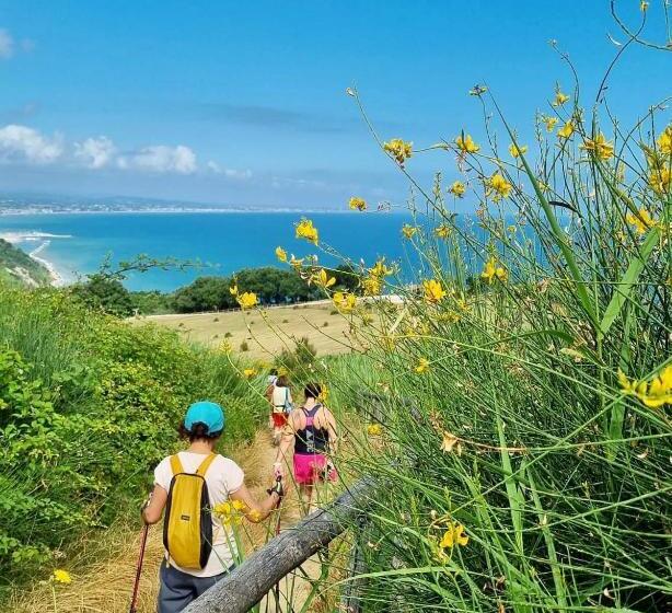 בית מלון כפרי Alexander