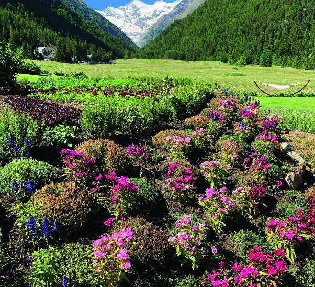 Bellevue Hotel & Spa