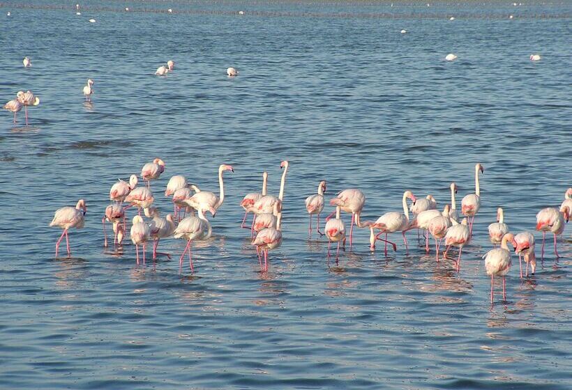 Best Western Hotel Residence Italia