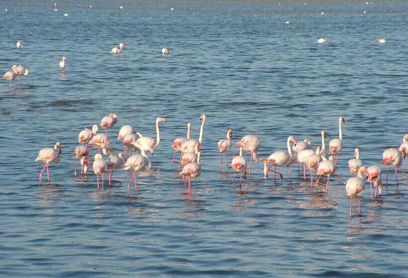 Best Western Hotel Residence Italia