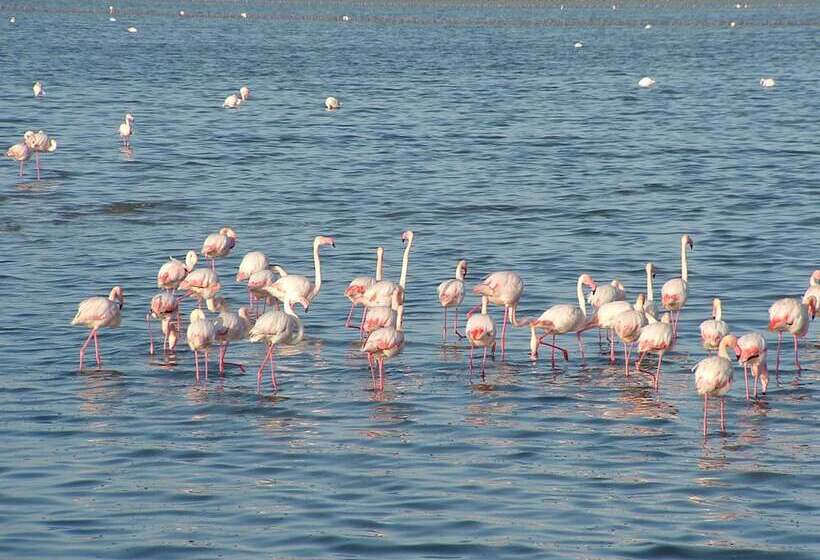 Best Western Hotel Residence Italia