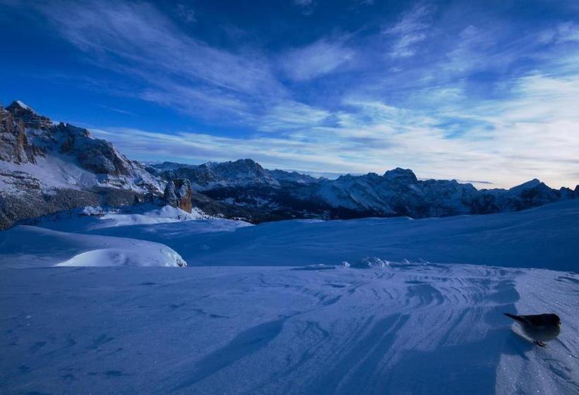 호텔 Cristallino D'ampezzo