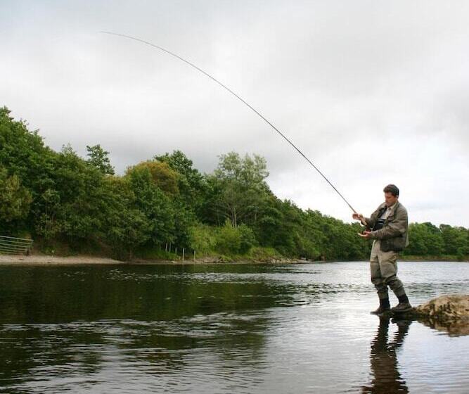 בית מלון כפרי Downhill Inn