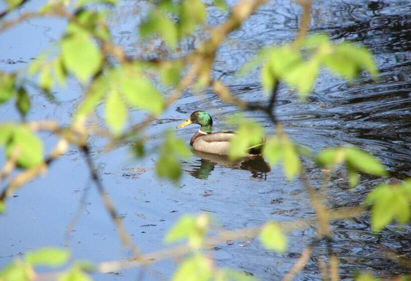 בית מלון כפרי Downhill Inn