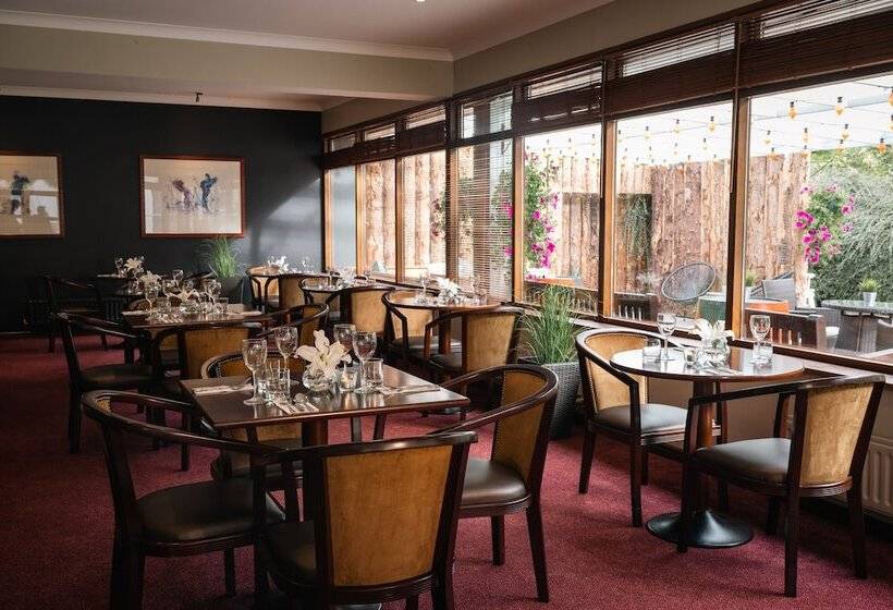 فندق Downhill Inn