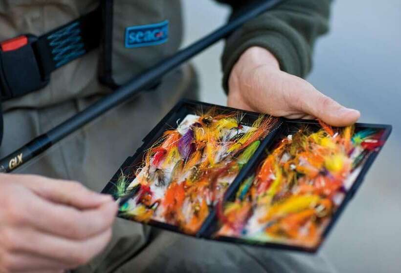 בית מלון כפרי Downhill Inn